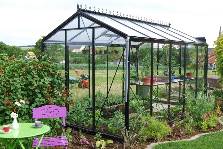 ACD Tuinkas R205H-Retro - 8,61 m² Afmeting: 2.32m x 3.71m